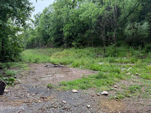 Tiny photo for 940 Riley Creek Rd, Whitleyville, TN 38588 (MLS # 1340626)