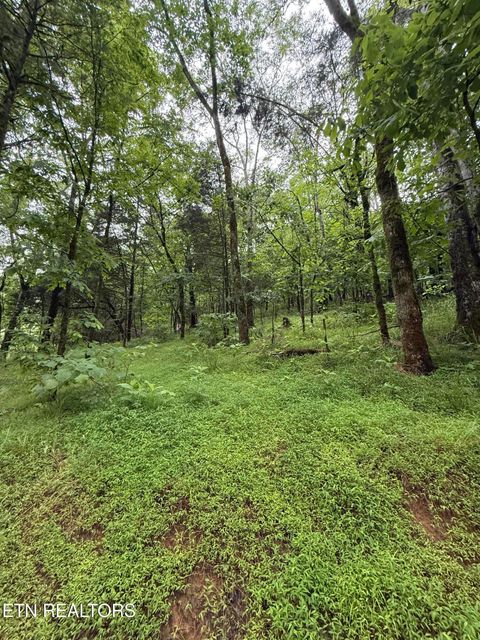 Tiny photo for 940 Riley Creek Rd, Whitleyville, TN 38588 (MLS # 1340626)