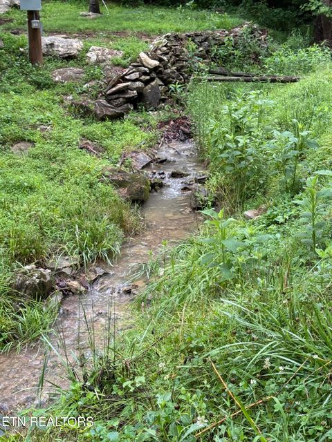 Tiny photo for 940 Riley Creek Rd, Whitleyville, TN 38588 (MLS # 1340626)