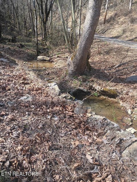 Tiny photo for 940 Riley Creek Rd, Whitleyville, TN 38588 (MLS # 1340626)