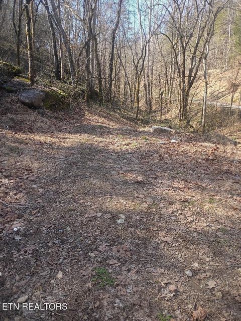 Tiny photo for 940 Riley Creek Rd, Whitleyville, TN 38588 (MLS # 1340626)