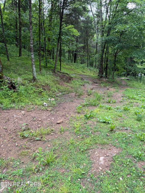 Tiny photo for 940 Riley Creek Rd, Whitleyville, TN 38588 (MLS # 1340626)