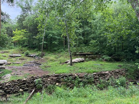 Tiny photo for 940 Riley Creek Rd, Whitleyville, TN 38588 (MLS # 1340626)