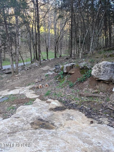 Tiny photo for 940 Riley Creek Rd, Whitleyville, TN 38588 (MLS # 1340626)