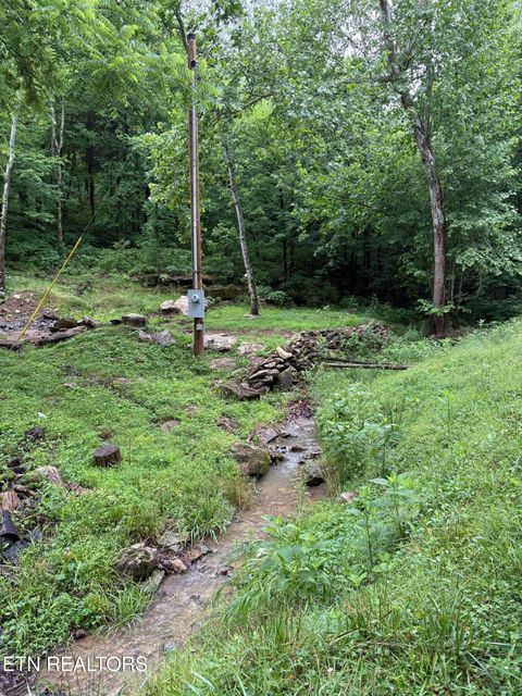 Tiny photo for 940 Riley Creek Rd, Whitleyville, TN 38588 (MLS # 1340626)