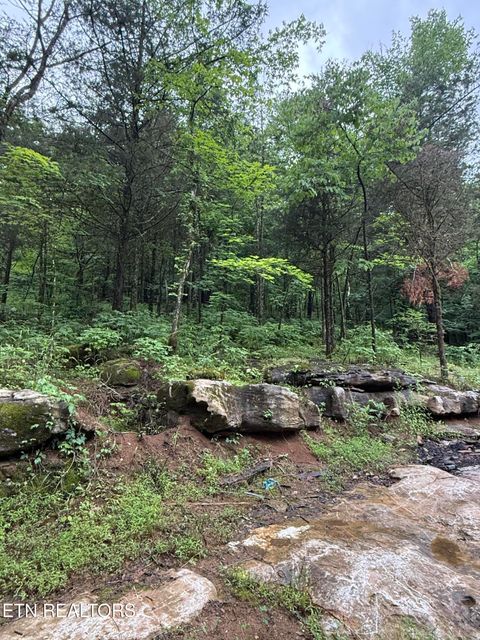 Tiny photo for 940 Riley Creek Rd, Whitleyville, TN 38588 (MLS # 1340626)