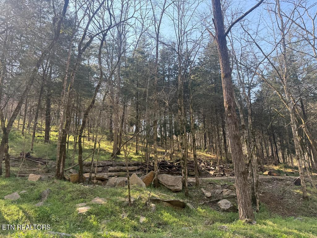 940 Riley Creek Rd