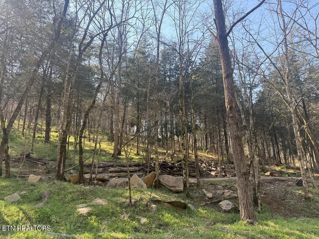 Photo of 940 Riley Creek Rd, Whitleyville, TN 38588 (MLS # 1340626)