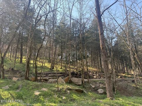 Tiny photo for 940 Riley Creek Rd, Whitleyville, TN 38588 (MLS # 1340626)