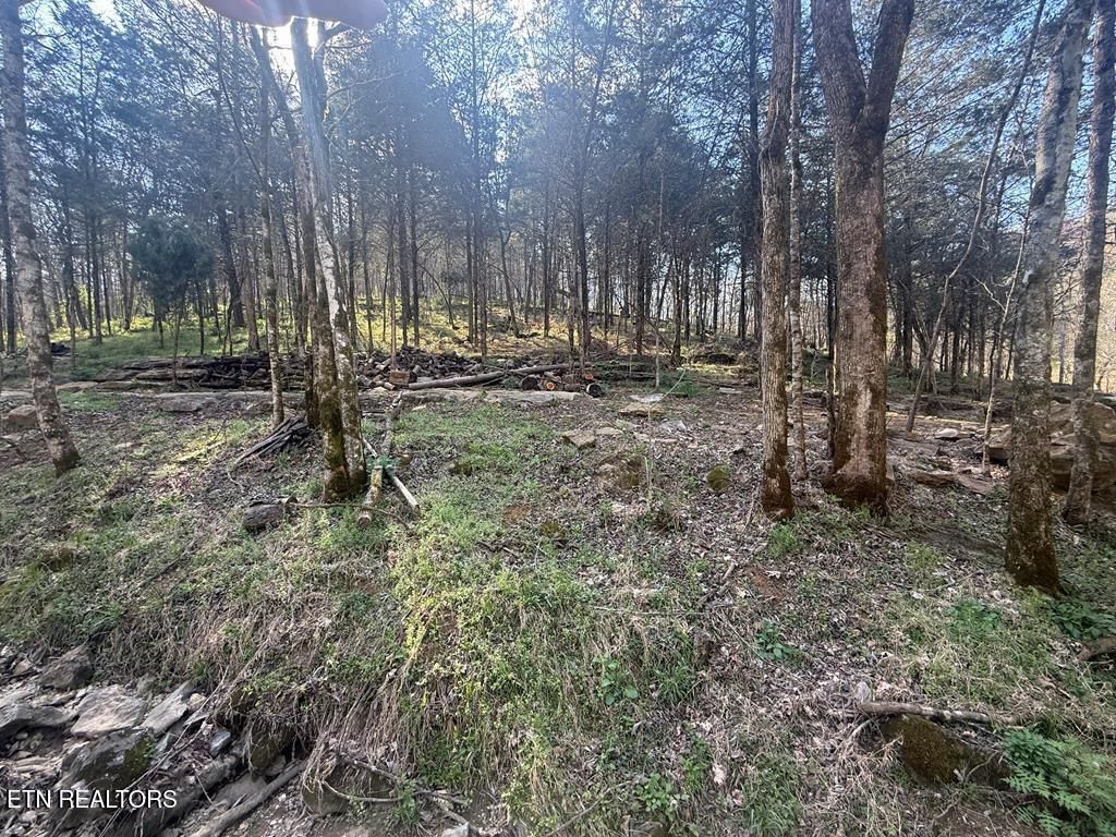 Photo of 940 Riley Creek Rd, Whitleyville, TN 38588 (MLS # 1340626)