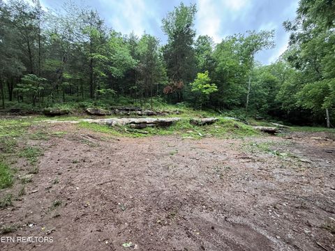 Tiny photo for 940 Riley Creek Rd, Whitleyville, TN 38588 (MLS # 1340626)