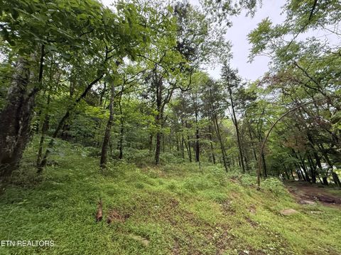 Tiny photo for 940 Riley Creek Rd, Whitleyville, TN 38588 (MLS # 1340626)