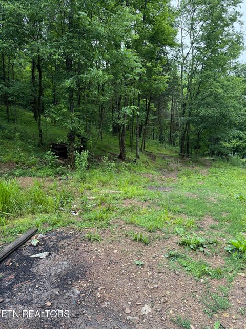 Tiny photo for 940 Riley Creek Rd, Whitleyville, TN 38588 (MLS # 1340626)