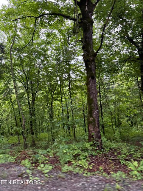 Tiny photo for 940 Riley Creek Rd, Whitleyville, TN 38588 (MLS # 1340626)