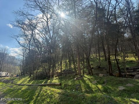 Photo of 940 Riley Creek Rd, Whitleyville, TN 38588 (MLS # 1340626)