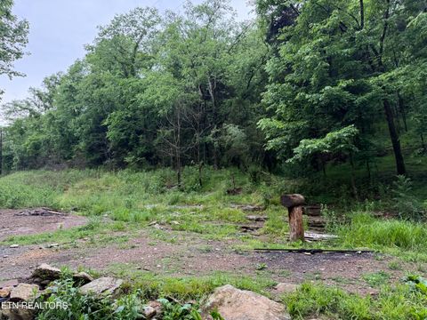 Tiny photo for 940 Riley Creek Rd, Whitleyville, TN 38588 (MLS # 1340626)