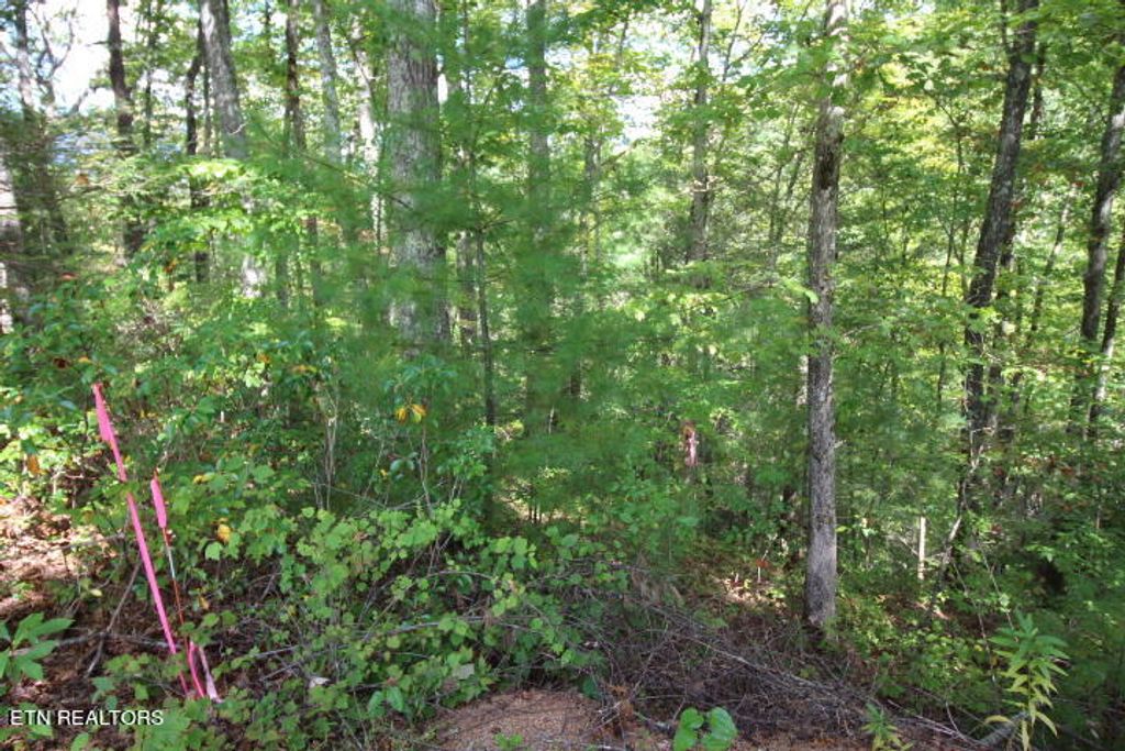 Photo of 6 Taylors Ridge( Journeys End) Rd, Walland, TN 37886 (MLS # 1242836)