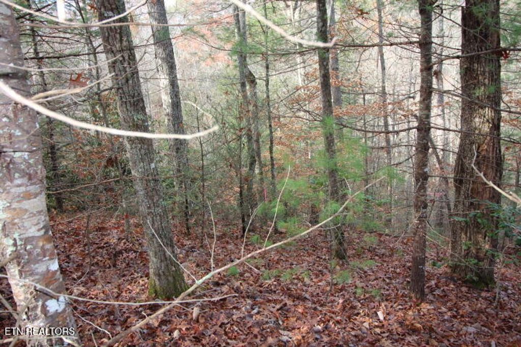 Photo of 6 Taylors Ridge( Journeys End) Rd, Walland, TN 37886 (MLS # 1242836)