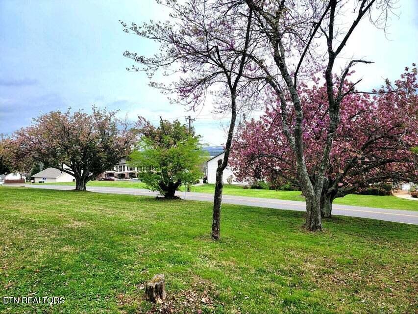 Photo of 109 Scenic Hill Drive, Spring City, TN 37381 (MLS # 1257975)