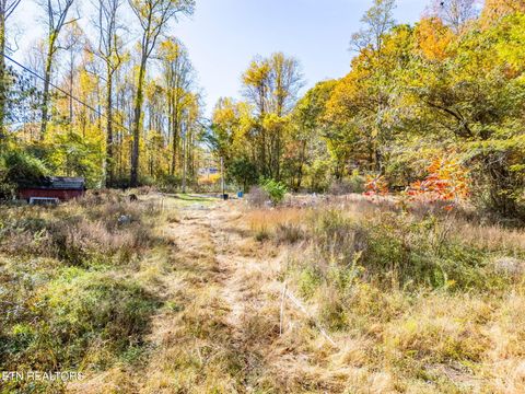 Tiny photo for 1395 Mountain View Rd, Rockwood, TN 37854 (MLS # 1321042)