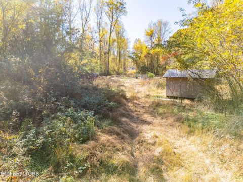 Tiny photo for 1395 Mountain View Rd, Rockwood, TN 37854 (MLS # 1321042)