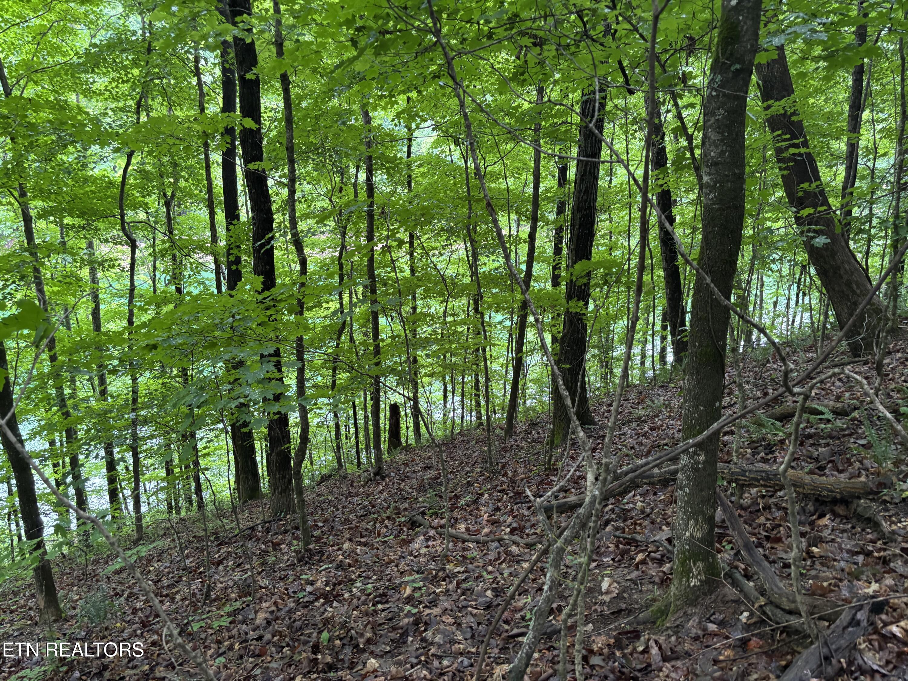 Lakemont Lane