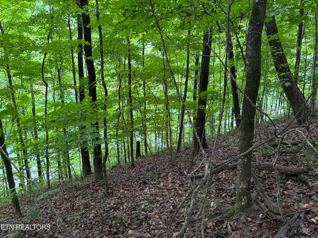Photo of Lakemont Lane, Caryville, TN 37714 (MLS # 1342137)