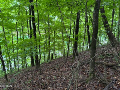 Tiny photo for Lakemont Lane, Caryville, TN 37714 (MLS # 1342137)
