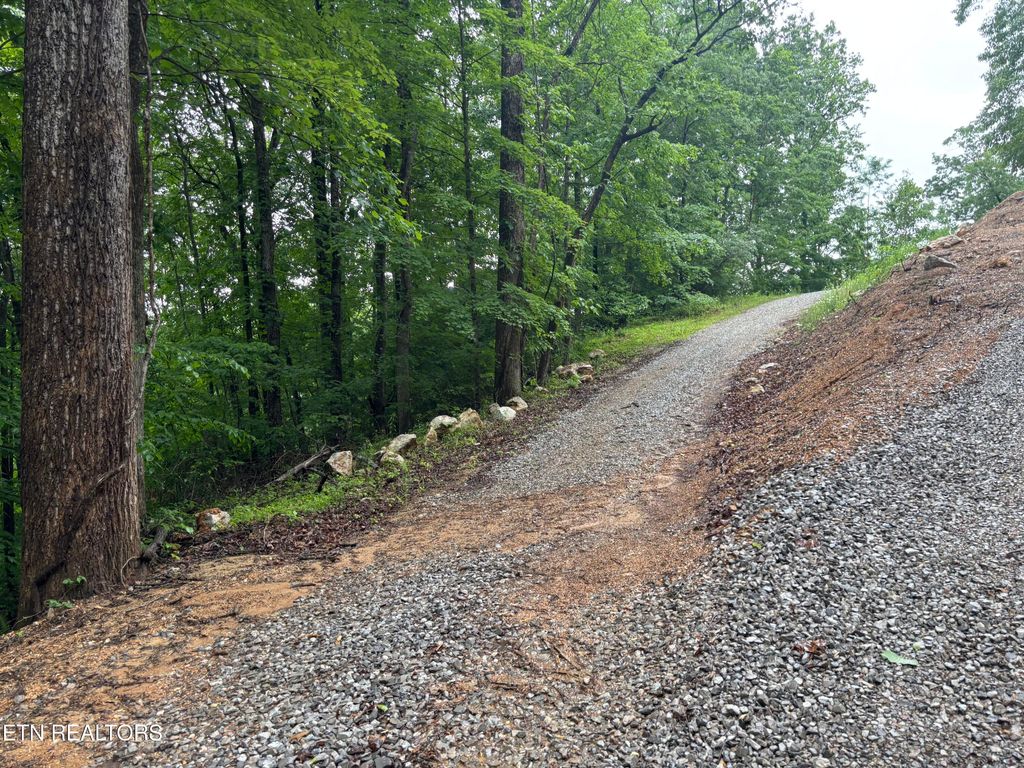 Photo of Lakemont Lane, Caryville, TN 37714 (MLS # 1342137)