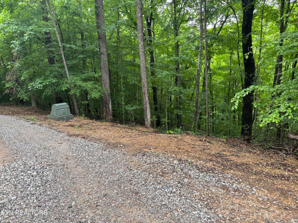 Photo of Lakemont Lane, Caryville, TN 37714 (MLS # 1342137)