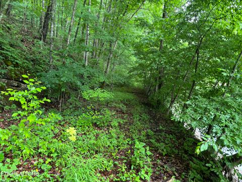 Tiny photo for Lakemont Lane, Caryville, TN 37714 (MLS # 1342137)