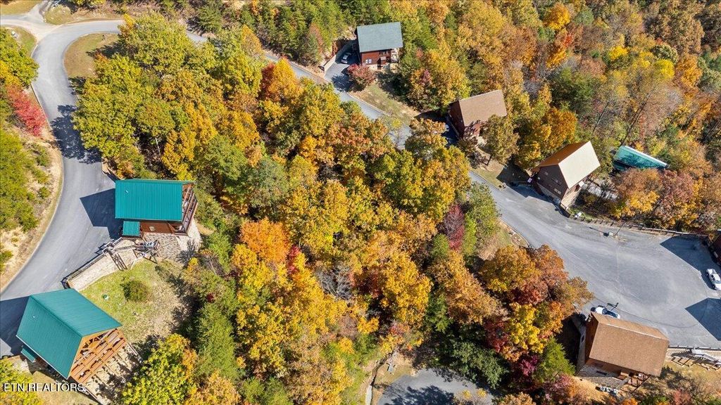 Photo of 131132 Starr View Drive, Sevierville, TN 37876 (MLS # 1320711)