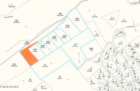 227 Eagle View Lane Jacksboro TN 37757