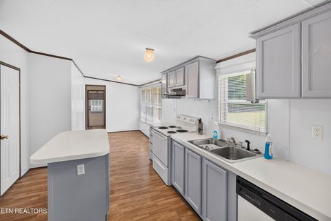 Tiny photo for 1649 Hopeless Rd, Dandridge, TN 37725 (MLS # 1349224)