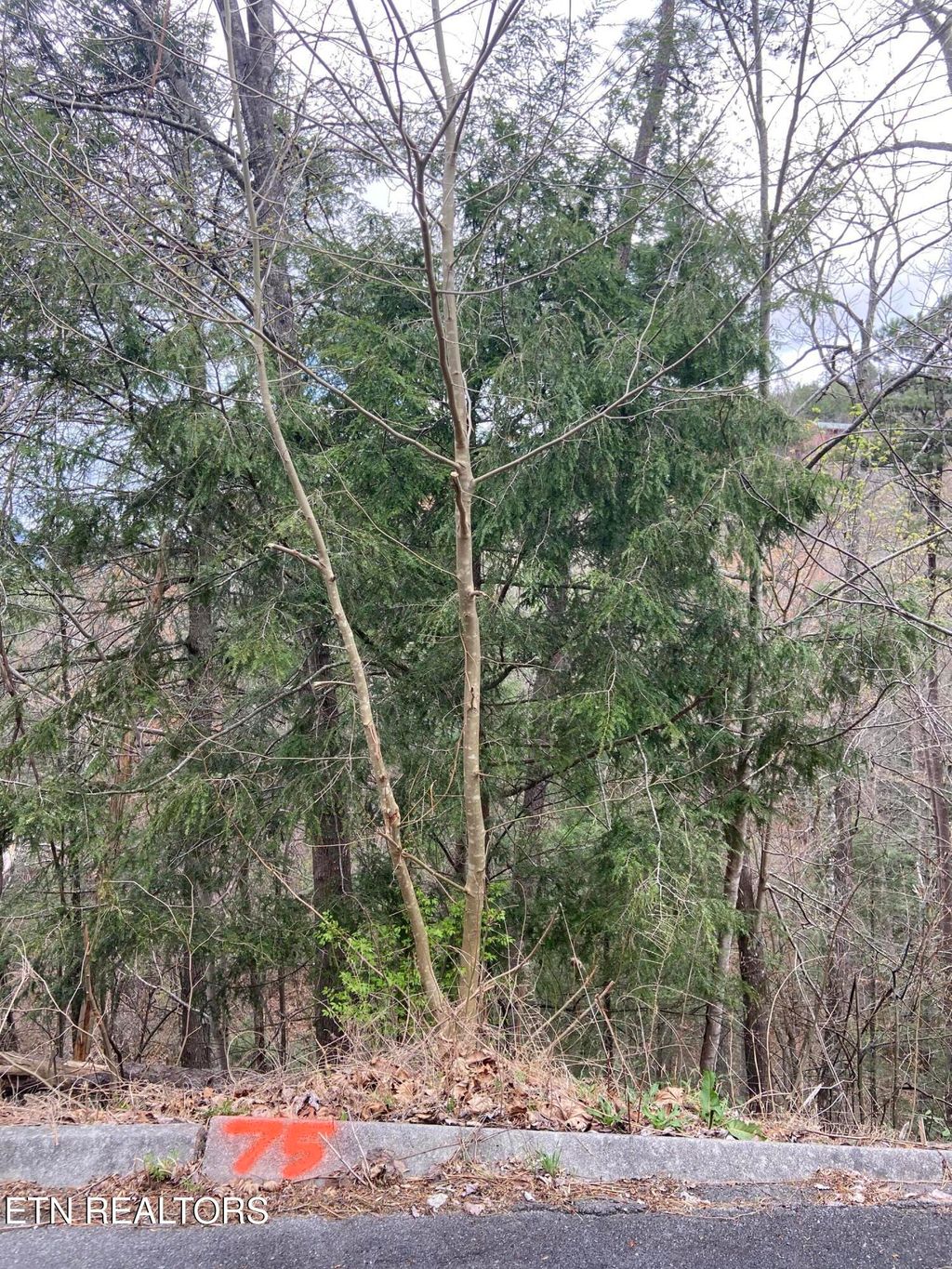 Photo of Lot 75 Smoky Ridge Way, Sevierville, TN 37862 (MLS # 1279853)