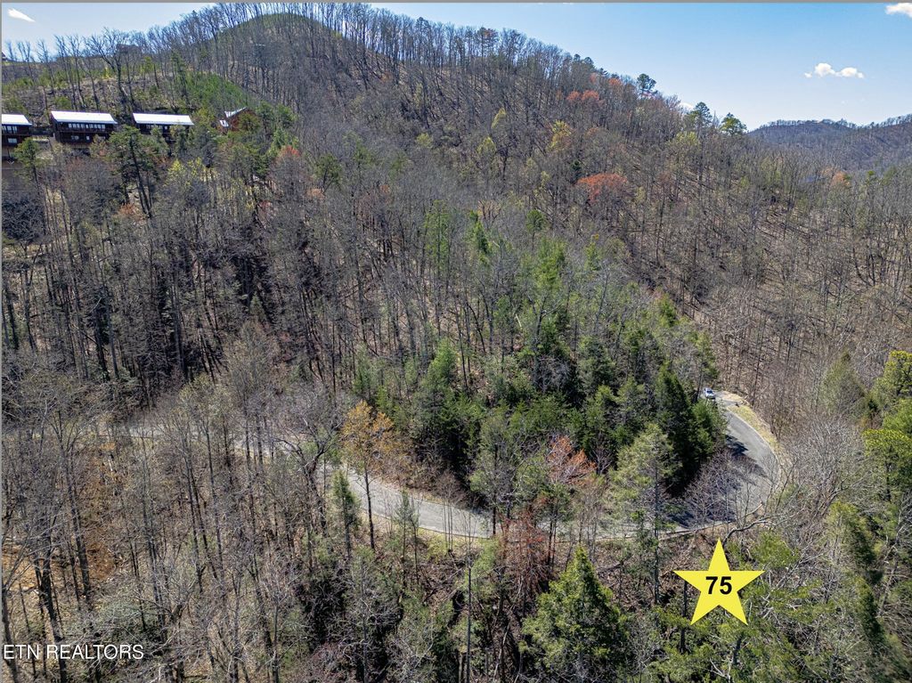Photo of Lot 75 Smoky Ridge Way, Sevierville, TN 37862 (MLS # 1279853)