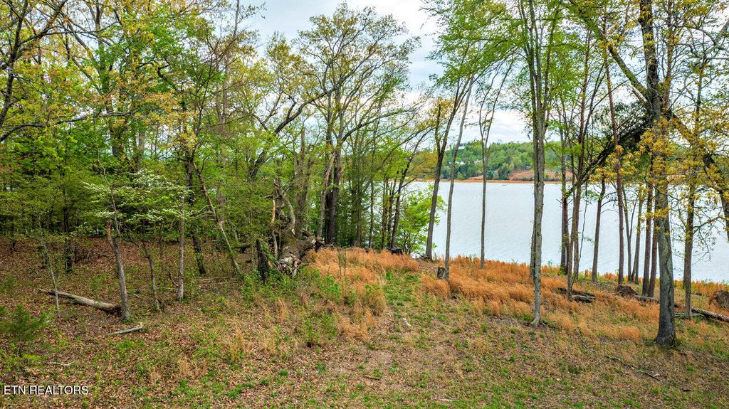 Photo of 55 Sunset Blvd, White Pine, TN 37890 (MLS # 1300083)