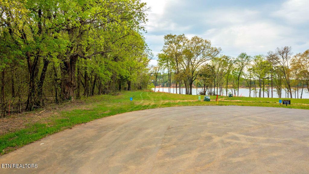 Photo of 55 Sunset Blvd, White Pine, TN 37890 (MLS # 1300083)