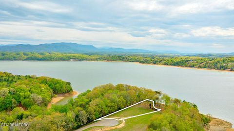 Lot 55 Sunset Blvd White Pine TN 37890