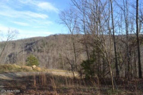 Photo of 151 Steel Tram Ridge, Crawford, TN 38554 (MLS # 1325827)
