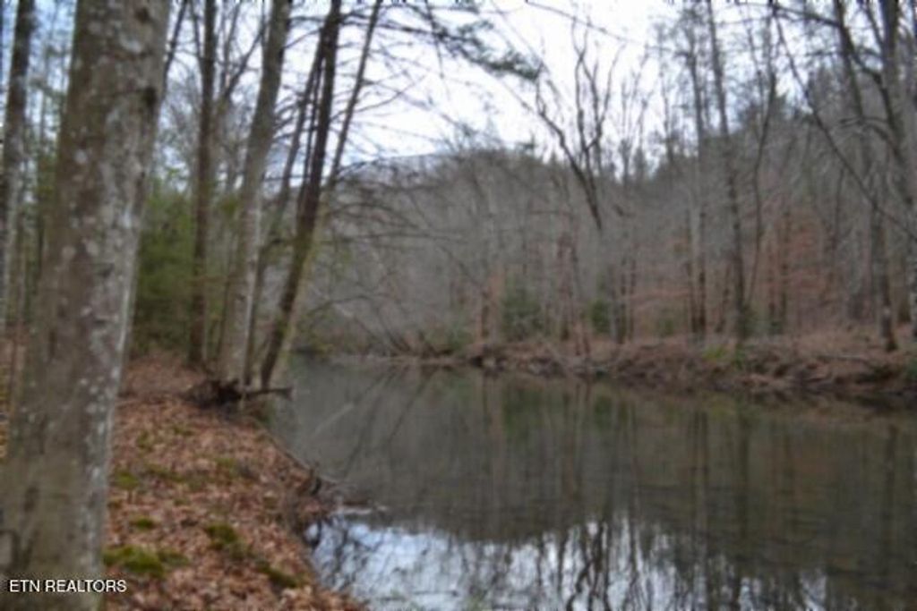 Photo of 151 Steel Tram Ridge, Crawford, TN 38554 (MLS # 1325827)