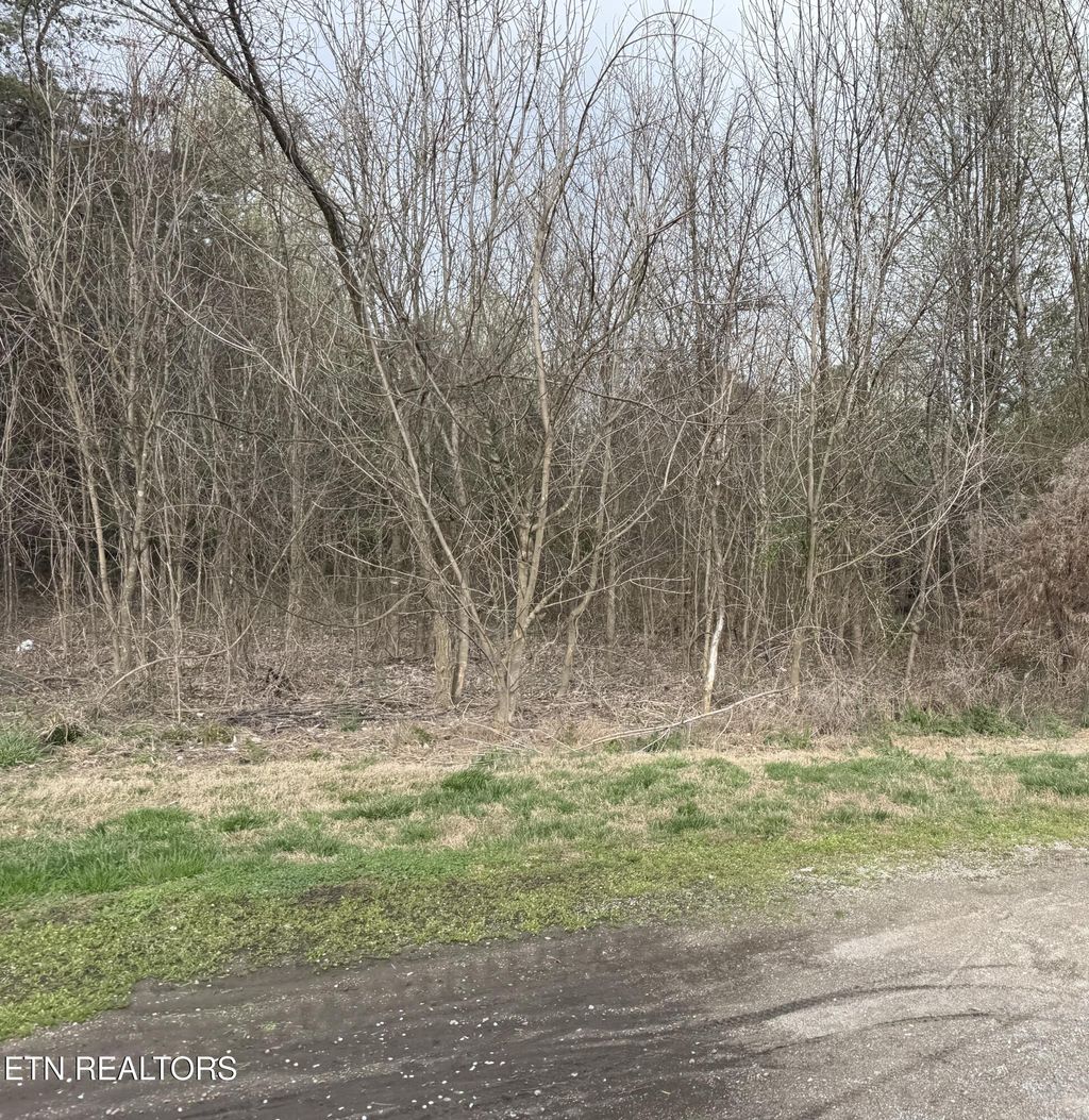 Photo of 105 Raintree Lane #Lot 18, Kingston, TN 37763 (MLS # 1332651)