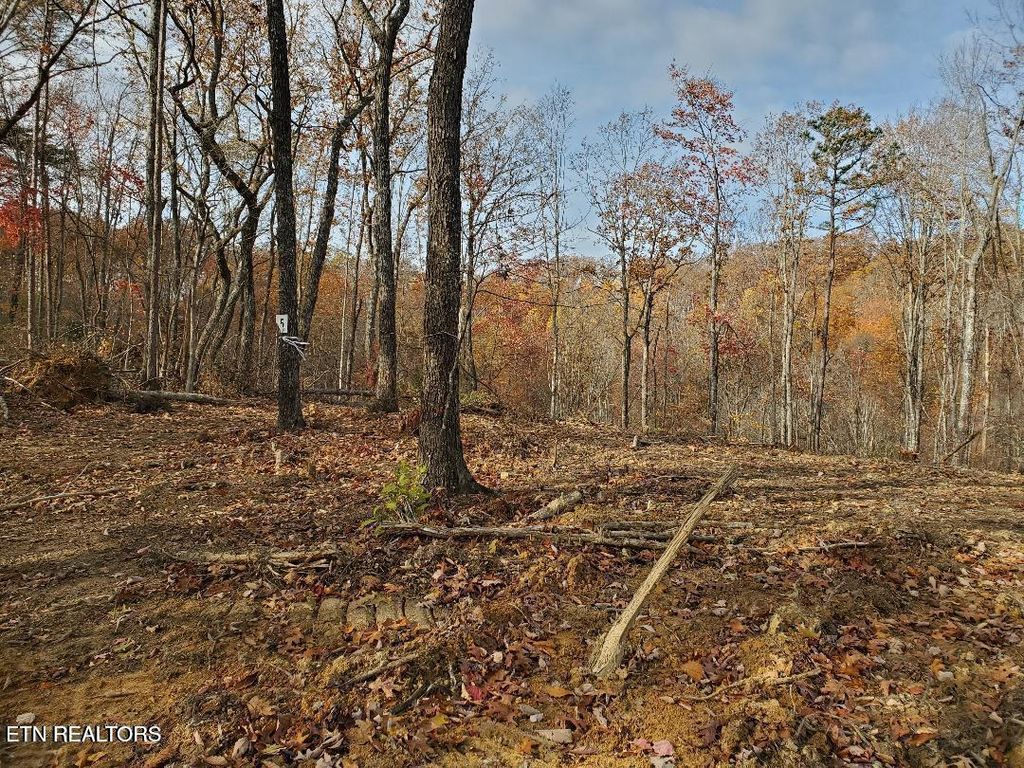 Photo of Bull Creek Rd S/0, Huntsville, TN 37756 (MLS # 1340113)