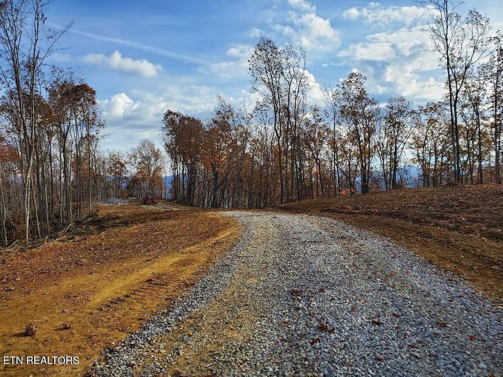Photo of Bull Creek Rd S/0, Huntsville, TN 37756 (MLS # 1340113)