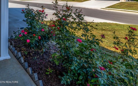 Tiny photo for 7622 Bailey Landing Lane, Knoxville, TN 37931 (MLS # 1355859)