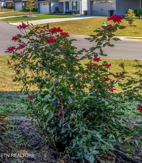 Tiny photo for 7622 Bailey Landing Lane, Knoxville, TN 37931 (MLS # 1355859)