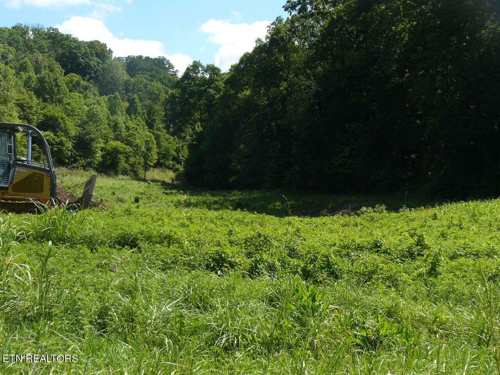 Photo of 664 Old Cave Springs Rd, Tazewell, TN 37879 (MLS # 1266363)