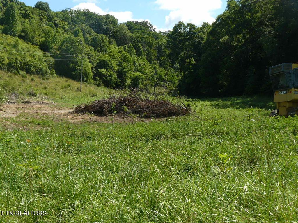 Photo of 664 Old Cave Springs Rd, Tazewell, TN 37879 (MLS # 1266363)