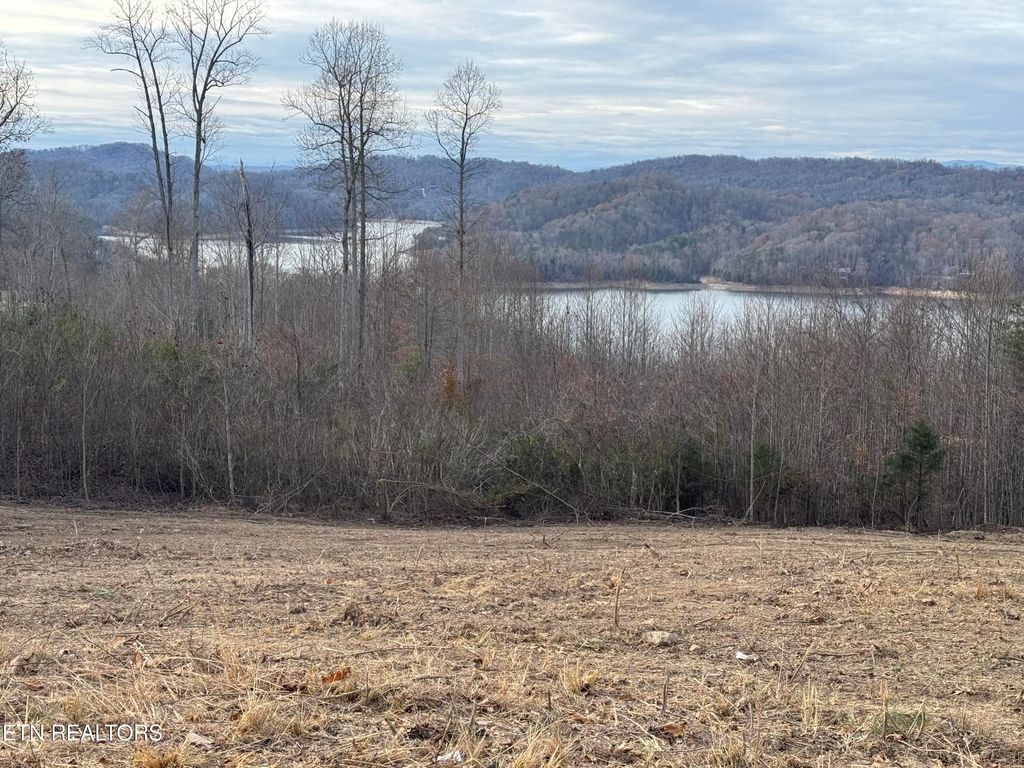 Photo of 34 Hickory Pointe Lane, Maynardville, TN 37807 (MLS # 1284470)