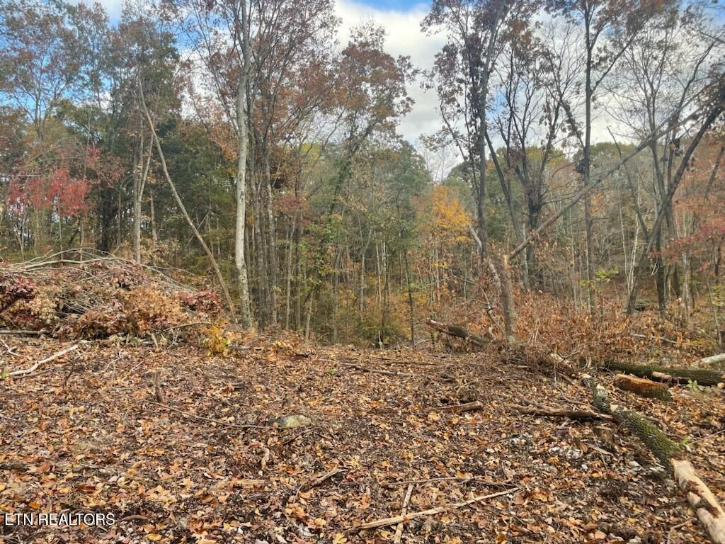 Photo of Cedar Grove Rd, Loudon, TN 37774 (MLS # 1282128)